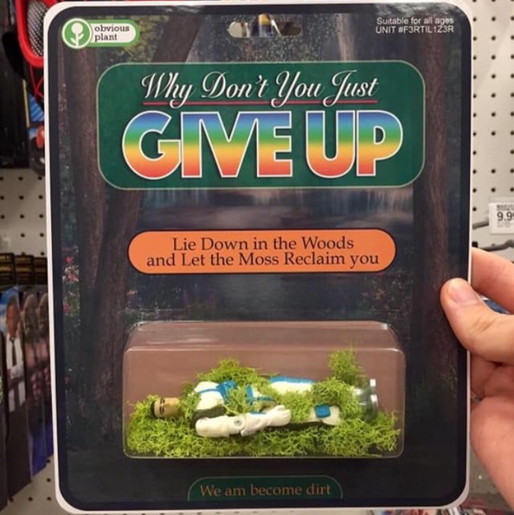 �������, ���������� � �������� ����