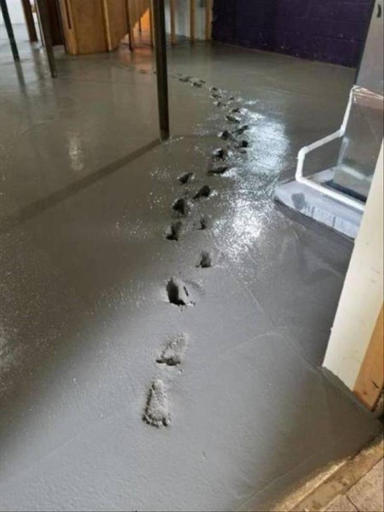 �������, ���������� � �������� ����