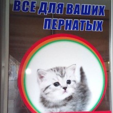 �������, ���������� � �������� ����