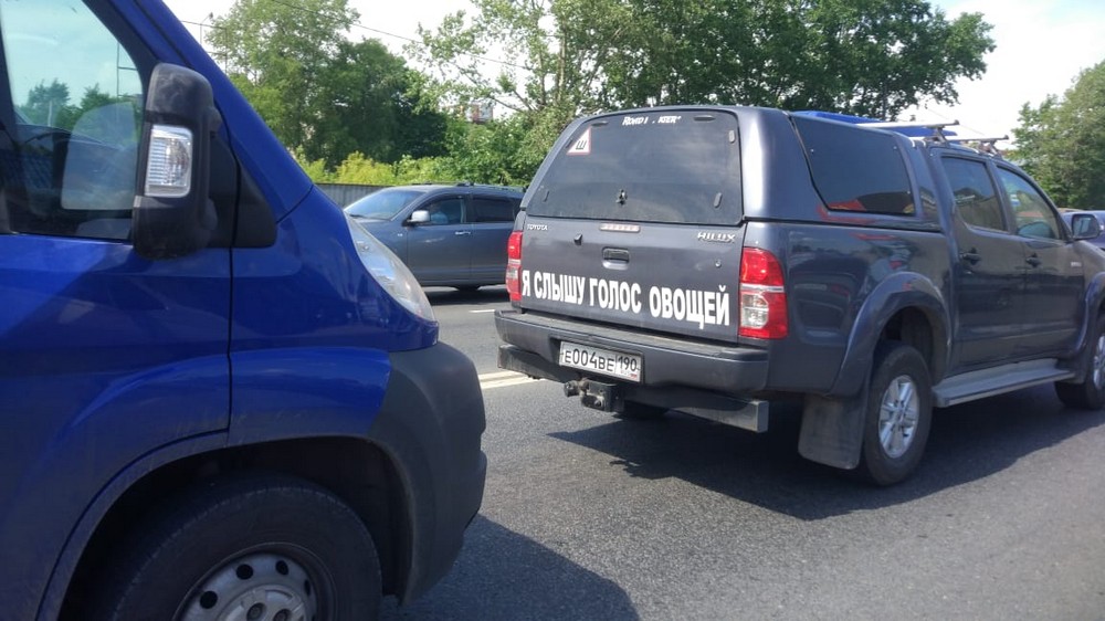 �������, ���������� � �������� ����