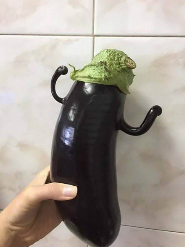 �������, ���������� � �������� ����
