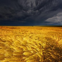 �������, ���������� � �������� ����