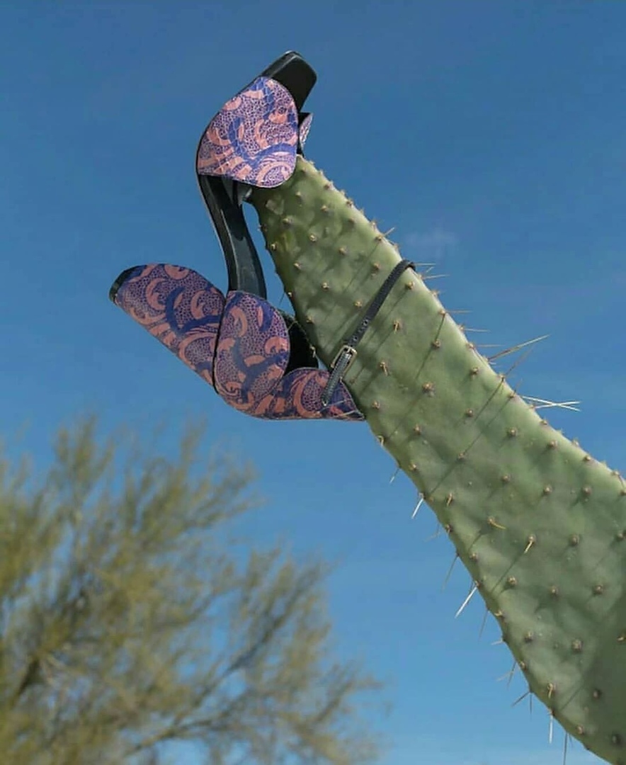 �������, ���������� � �������� ����