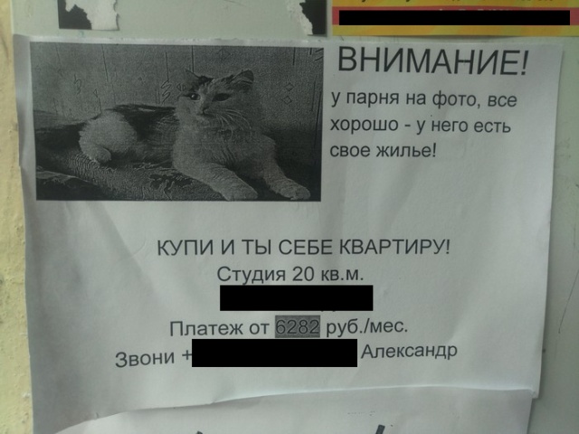 �������, ���������� � �������� ����