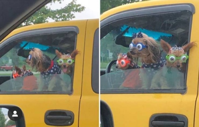 �������, ���������� � �������� ����