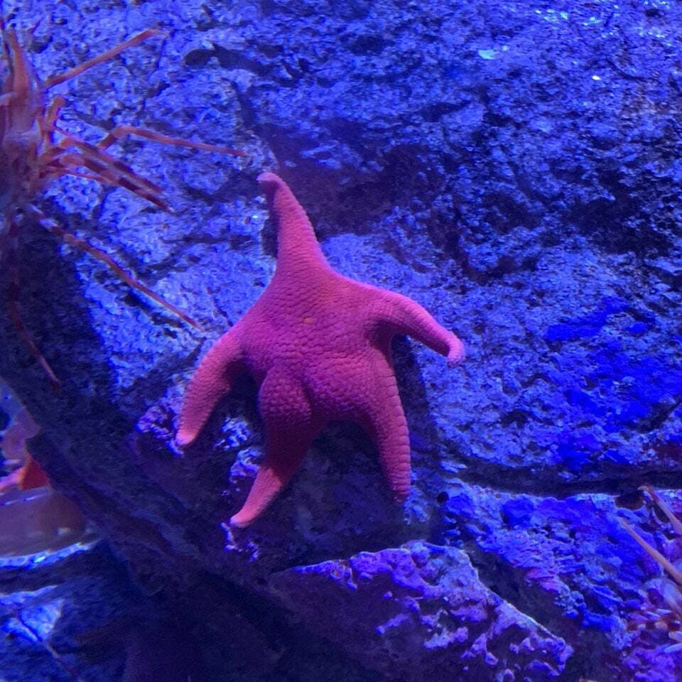 �������, ���������� � �������� ����