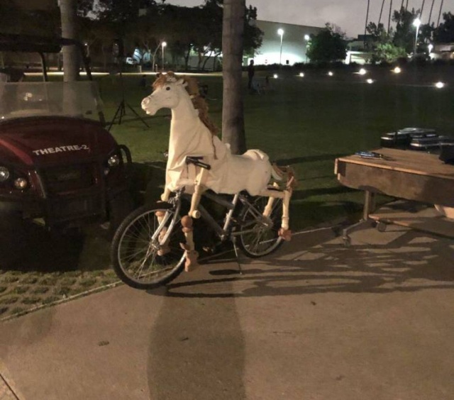 �������, ���������� � �������� ����