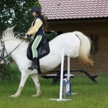 �������, ���������� � �������� ����