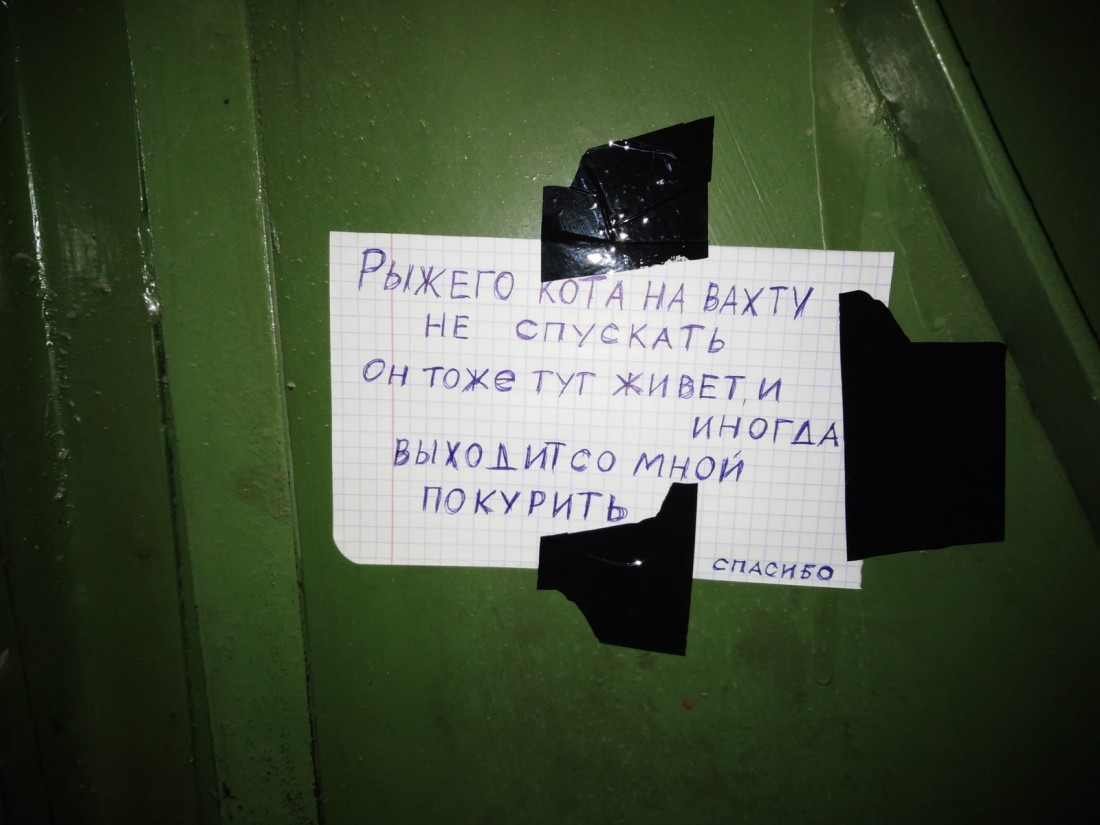 �������, ���������� � �������� ����