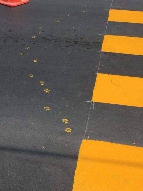 �������, ���������� � �������� ����