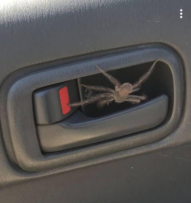 �������, ���������� � �������� ����
