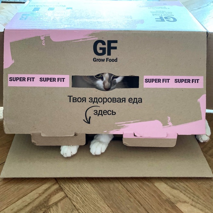�������, ���������� � �������� ����