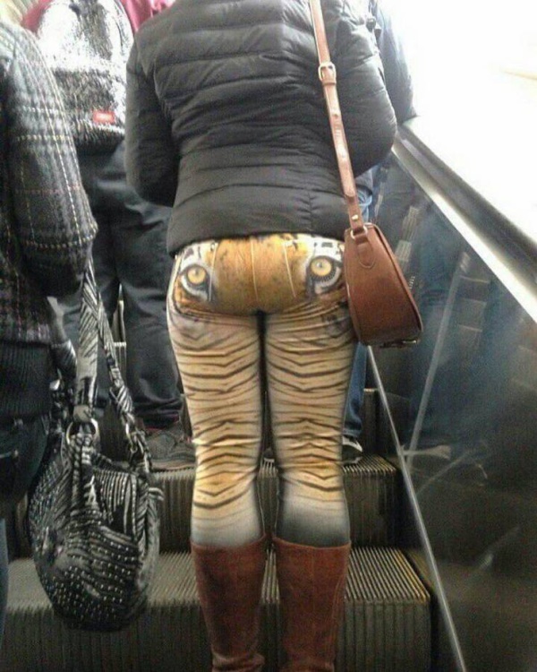 �������, ���������� � �������� ����