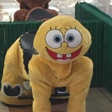 �������, ���������� � �������� ����