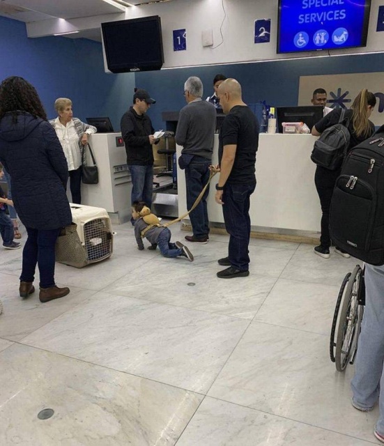 �������, ���������� � �������� ����