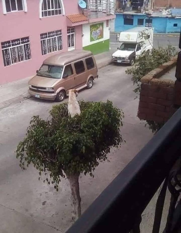 �������, ���������� � �������� ����