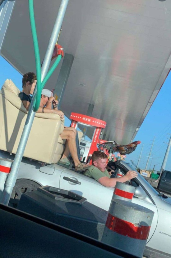 �������, ���������� � �������� ����