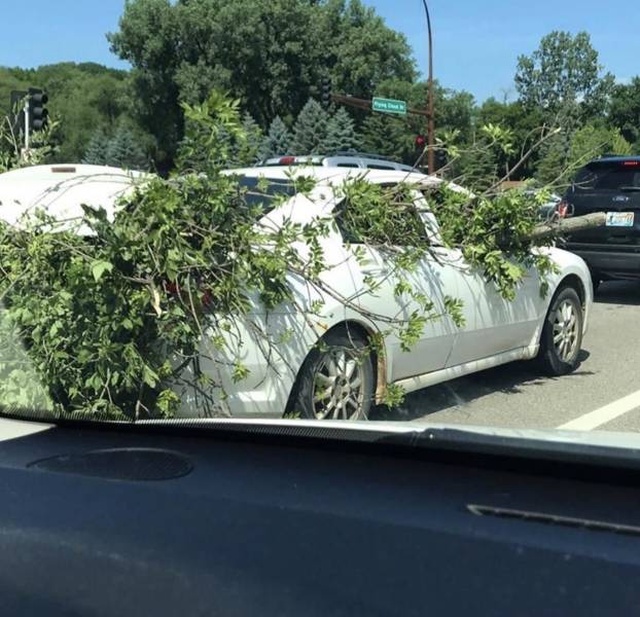 �������, ���������� � �������� ����