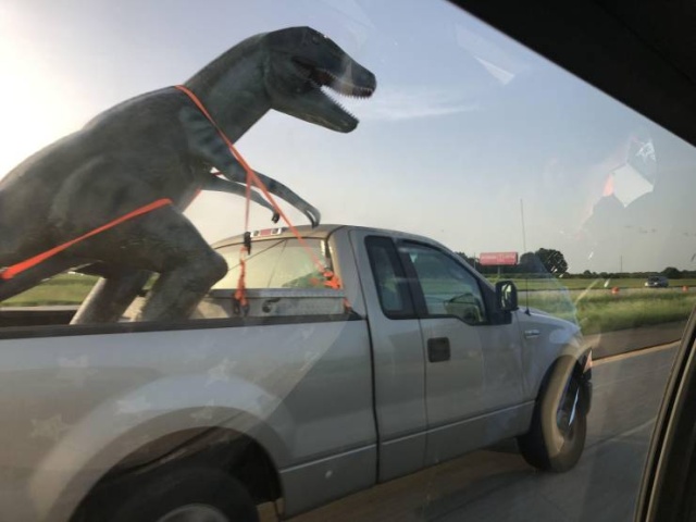 �������, ���������� � �������� ����
