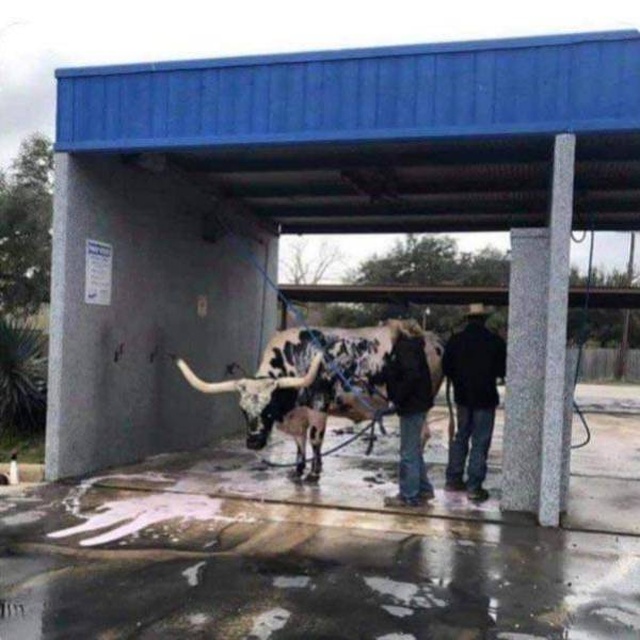 �������, ���������� � �������� ����