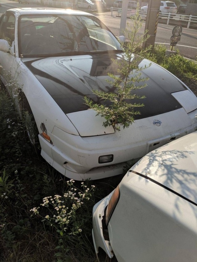 �������, ���������� � �������� ����