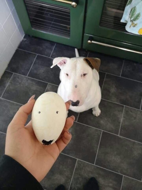�������, ���������� � �������� ����