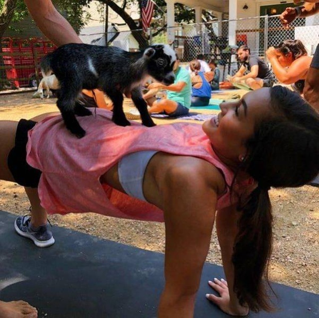 �������, ���������� � �������� ����