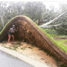 �������, ���������� � �������� ����