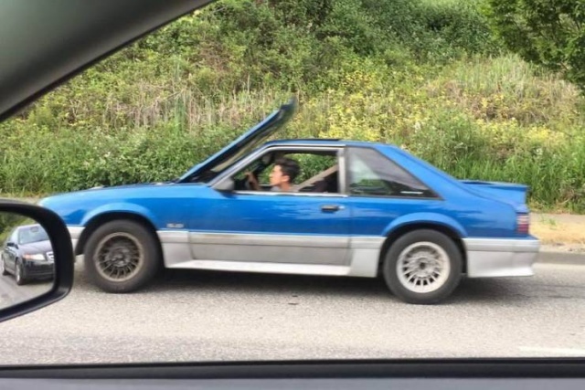 �������, ���������� � �������� ����