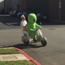 �������, ���������� � �������� ����