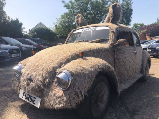 �������, ���������� � �������� ����