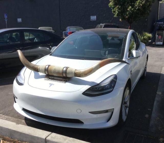 �������, ���������� � �������� ����