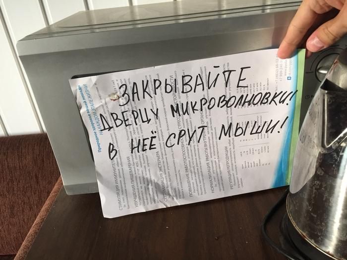 �������, ���������� � �������� ����
