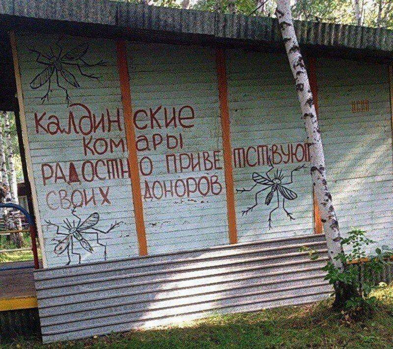 �������, ���������� � �������� ����