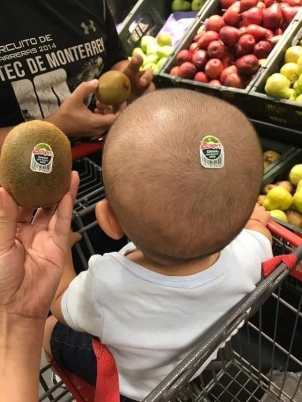 �������, ���������� � �������� ����