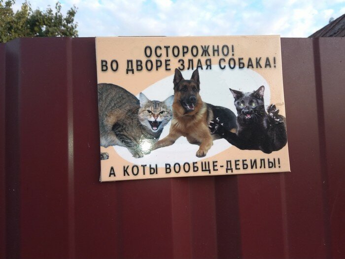 �������, ���������� � �������� ����