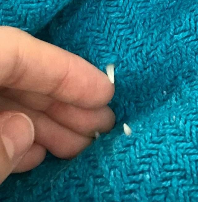 �������, ���������� � �������� ����