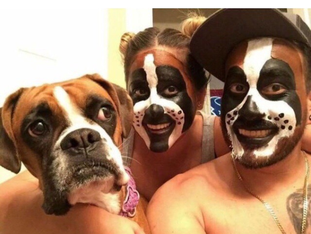 �������, ���������� � �������� ����