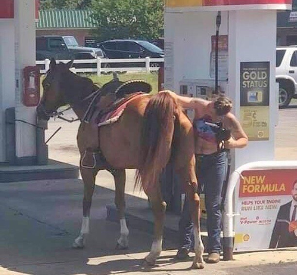 �������, ���������� � �������� ����