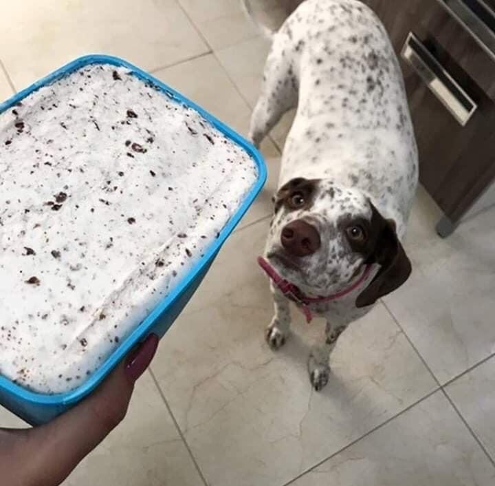 �������, ���������� � �������� ����