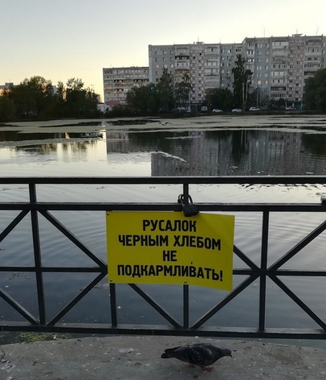 �������, ���������� � �������� ����