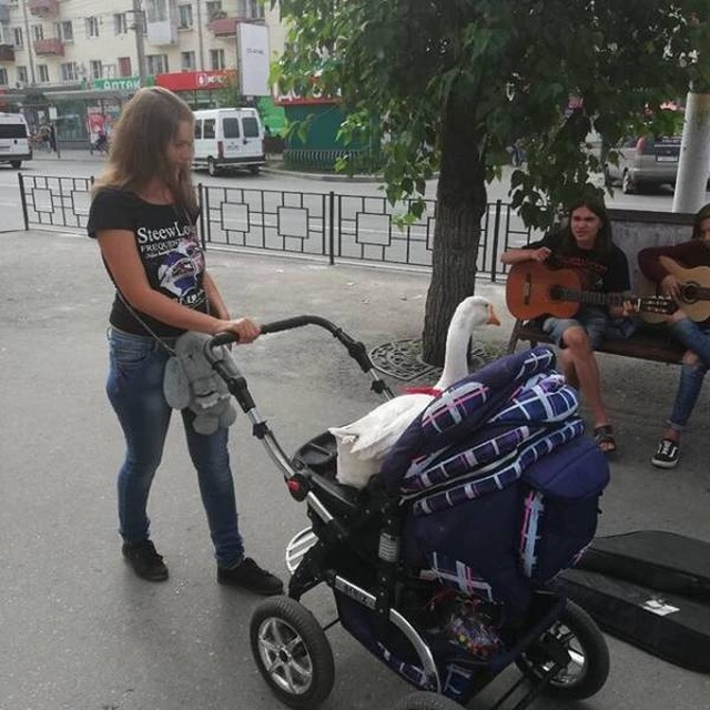 �������, ���������� � �������� ����