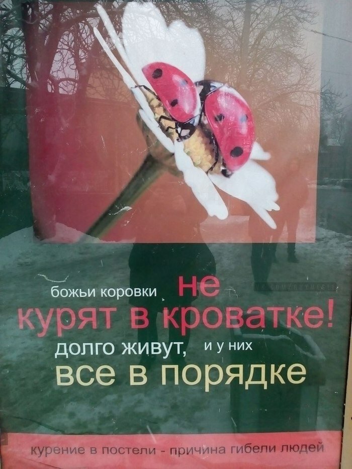 �������, ���������� � �������� ����