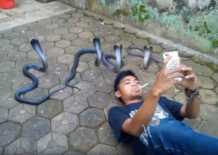 �������, ���������� � �������� ����