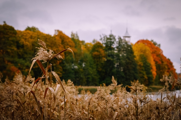 �������, ���������� � �������� ����