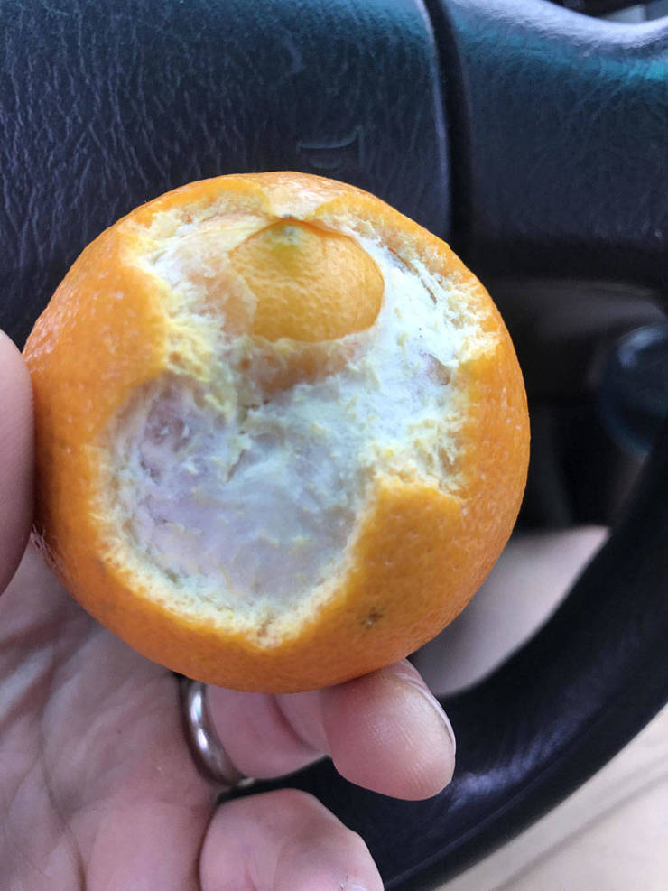 �������, ���������� � �������� ����