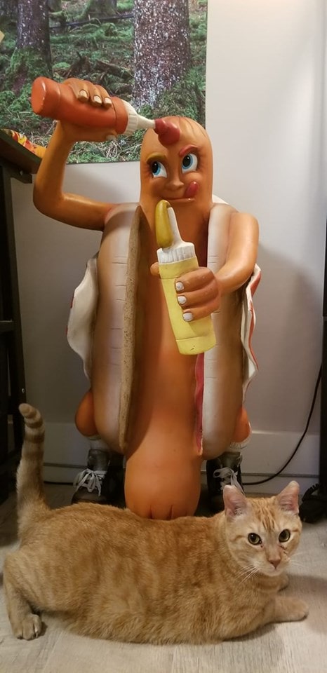�������, ���������� � �������� ����