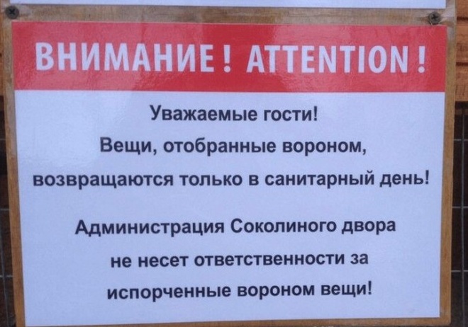 �������, ���������� � �������� ����