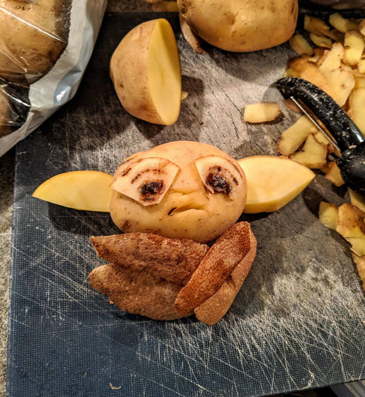 �������, ���������� � �������� ����