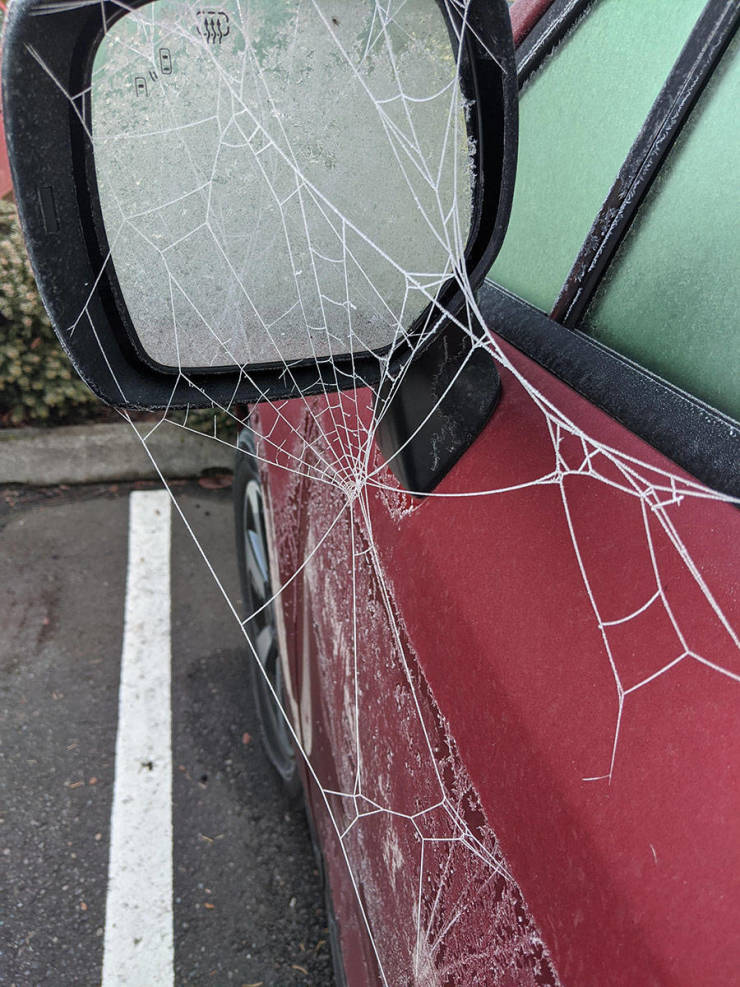 �������, ���������� � �������� ����